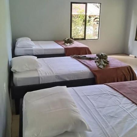 Cabinas Corcovado Green Parrot, Los Planes Drake Drakes Bay Exterior foto