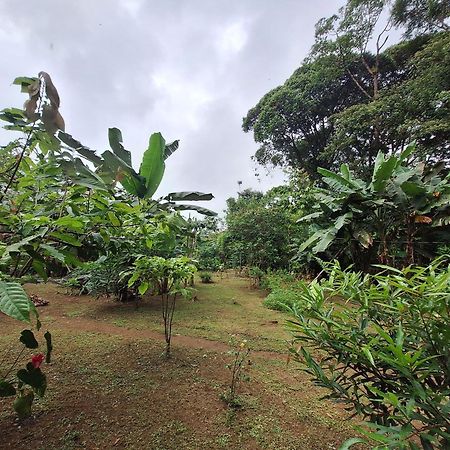 Cabinas Corcovado Green Parrot, Los Planes Drake Drakes Bay Exterior foto