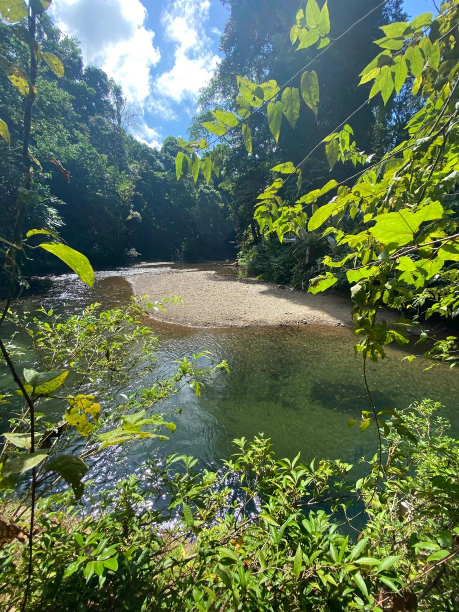 Cabinas Corcovado Green Parrot, Los Planes Drake Drakes Bay Exterior foto