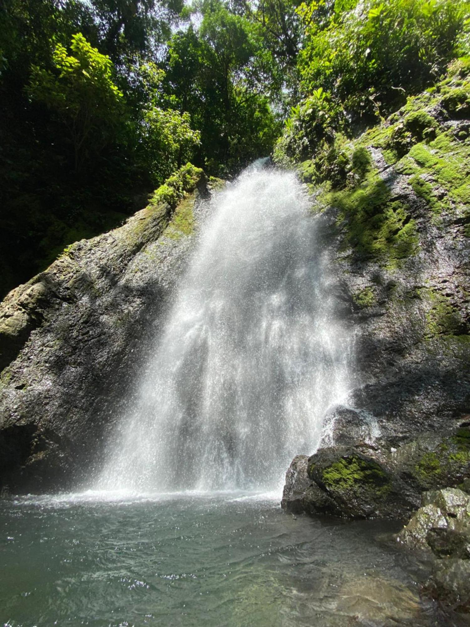 Cabinas Corcovado Green Parrot, Los Planes Drake Drakes Bay Exterior foto