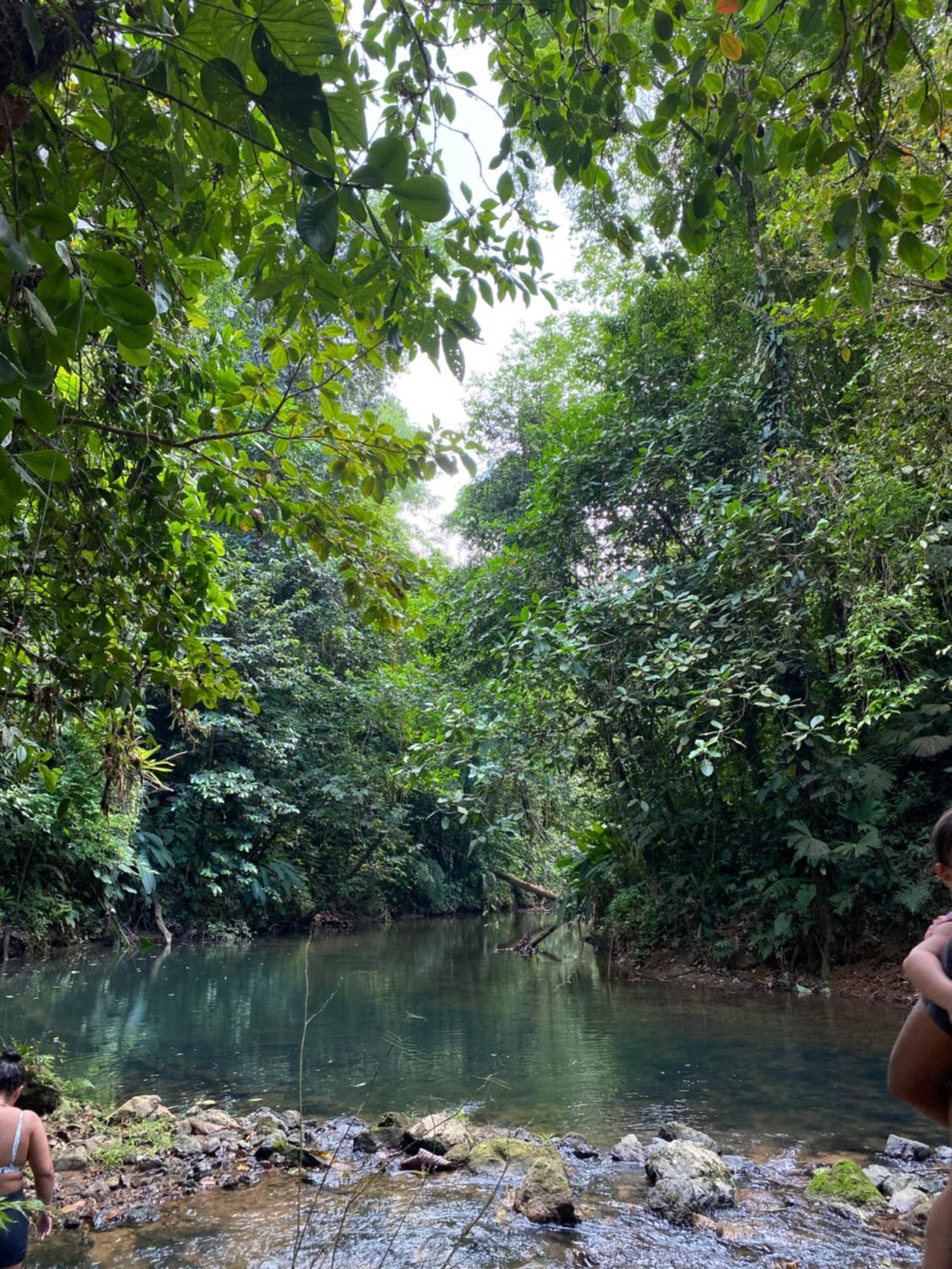 Cabinas Corcovado Green Parrot, Los Planes Drake Drakes Bay Exterior foto