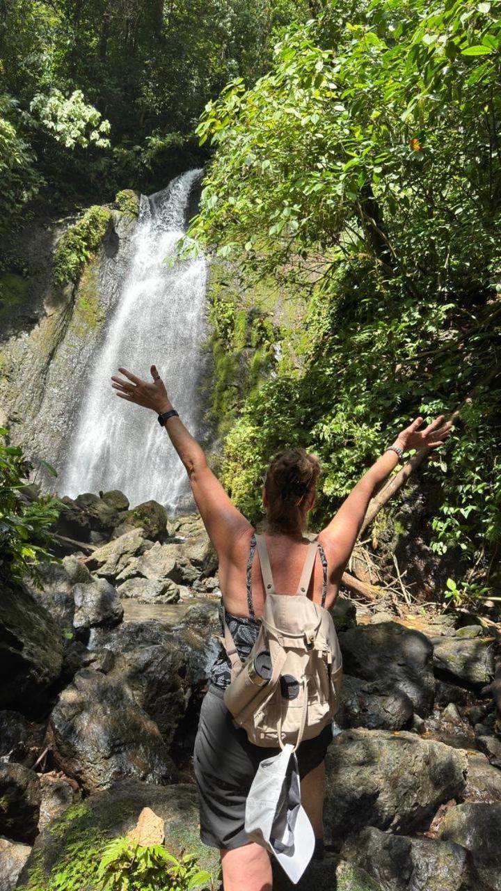 Cabinas Corcovado Green Parrot, Los Planes Drake Drakes Bay Exterior foto