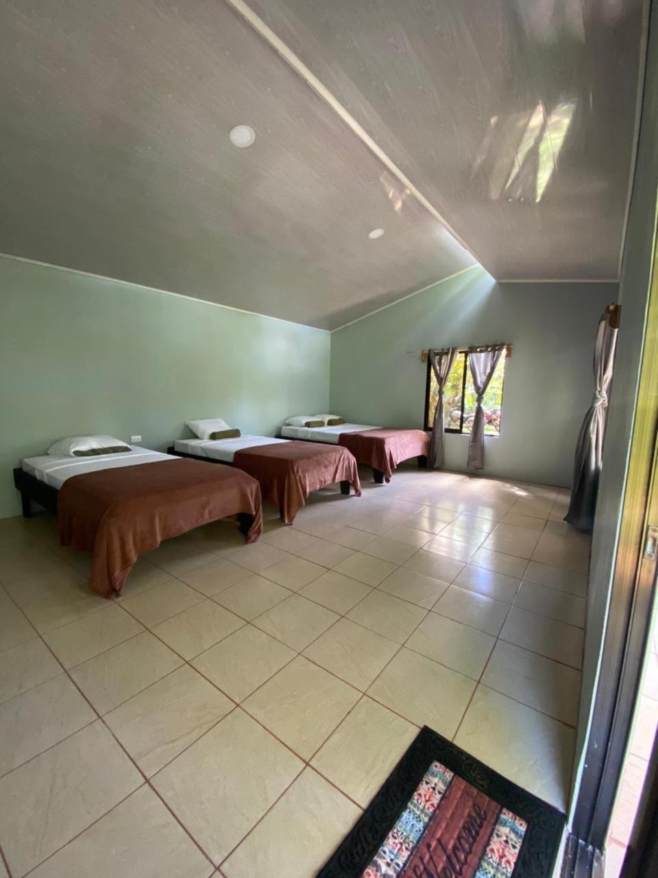 Cabinas Corcovado Green Parrot, Los Planes Drake Drakes Bay Exterior foto