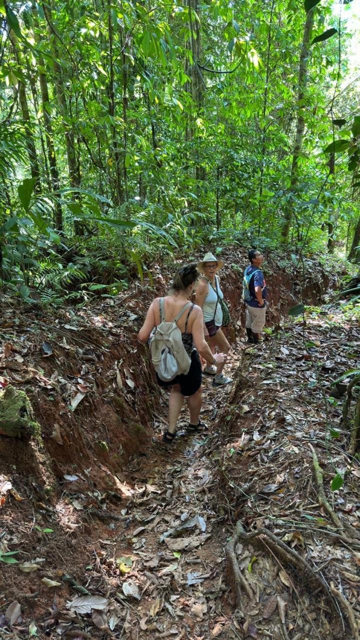 Cabinas Corcovado Green Parrot, Los Planes Drake Drakes Bay Exterior foto