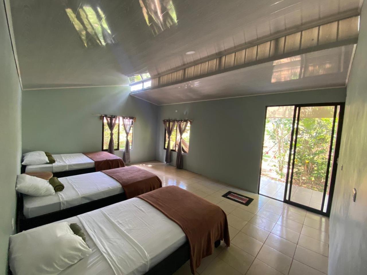 Cabinas Corcovado Green Parrot, Los Planes Drake Drakes Bay Habitación foto