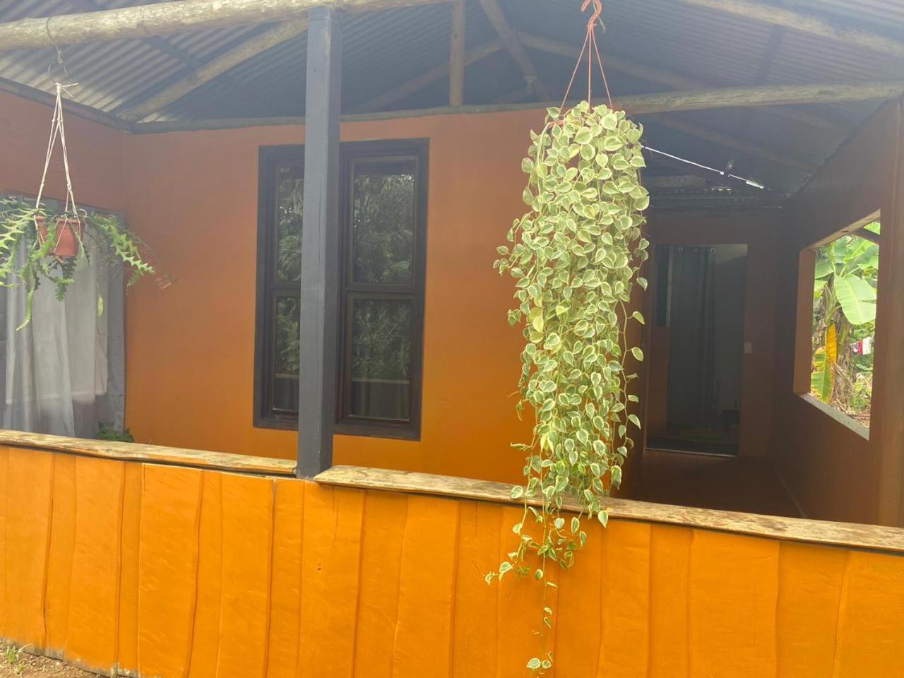 Cabinas Corcovado Green Parrot, Los Planes Drake Drakes Bay Exterior foto
