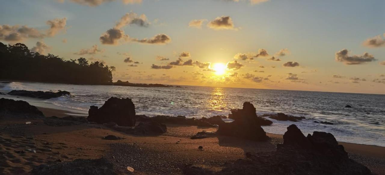 Cabinas Corcovado Green Parrot, Los Planes Drake Drakes Bay Exterior foto