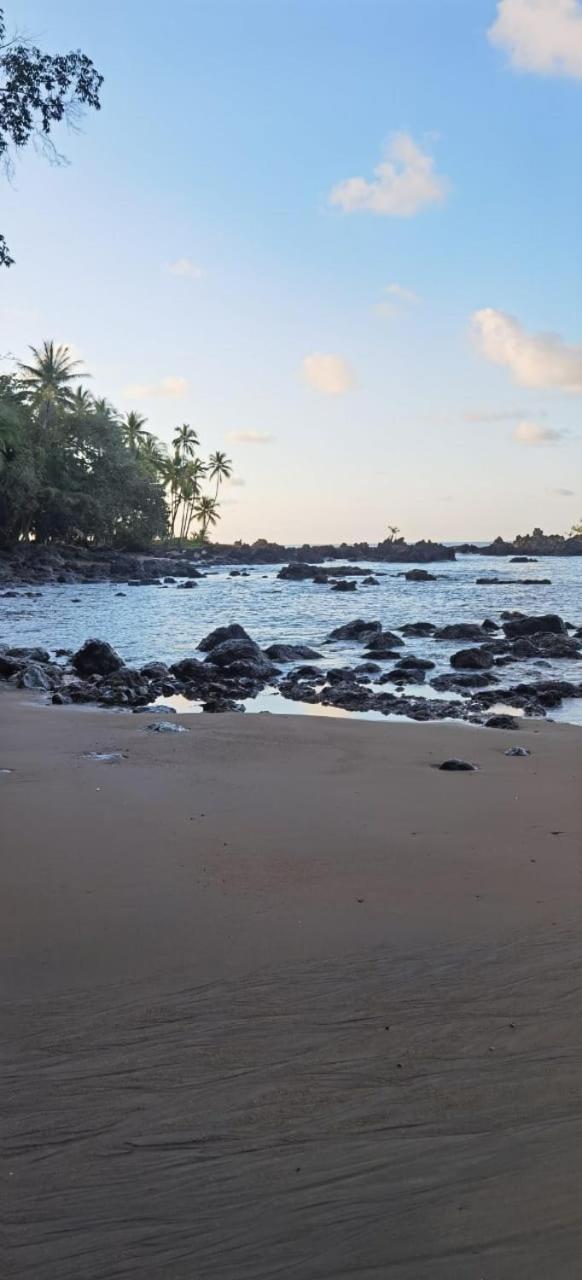 Cabinas Corcovado Green Parrot, Los Planes Drake Drakes Bay Exterior foto