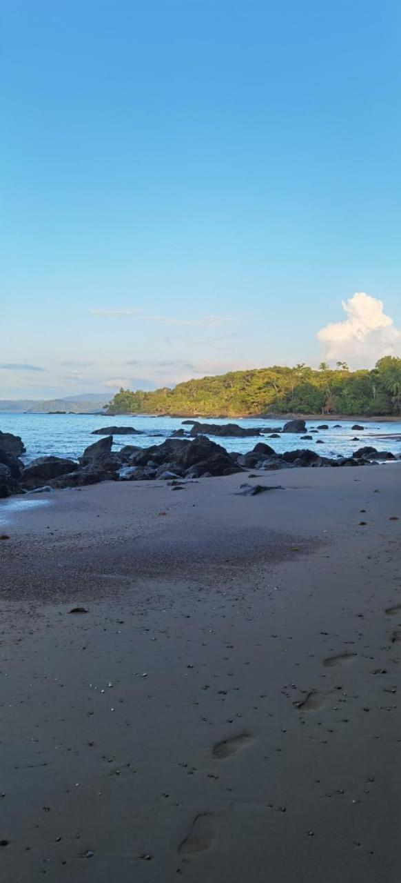 Cabinas Corcovado Green Parrot, Los Planes Drake Drakes Bay Exterior foto
