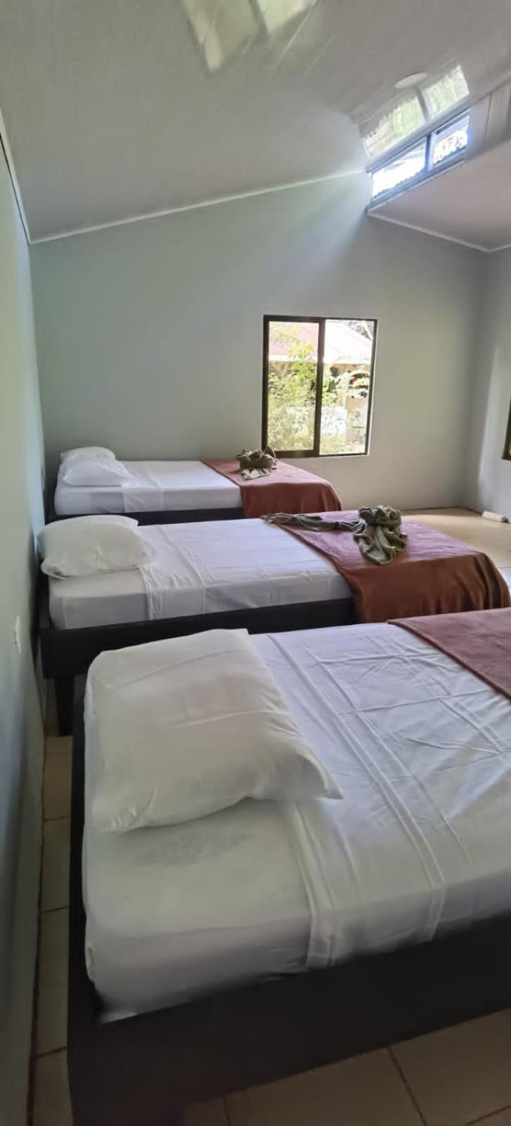 Cabinas Corcovado Green Parrot, Los Planes Drake Drakes Bay Exterior foto