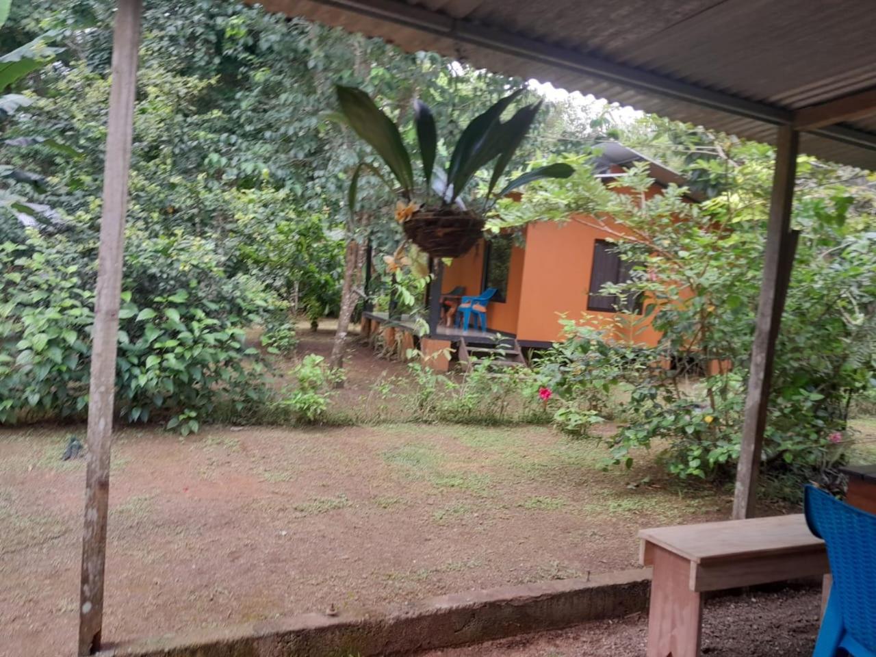 Cabinas Corcovado Green Parrot, Los Planes Drake Drakes Bay Exterior foto