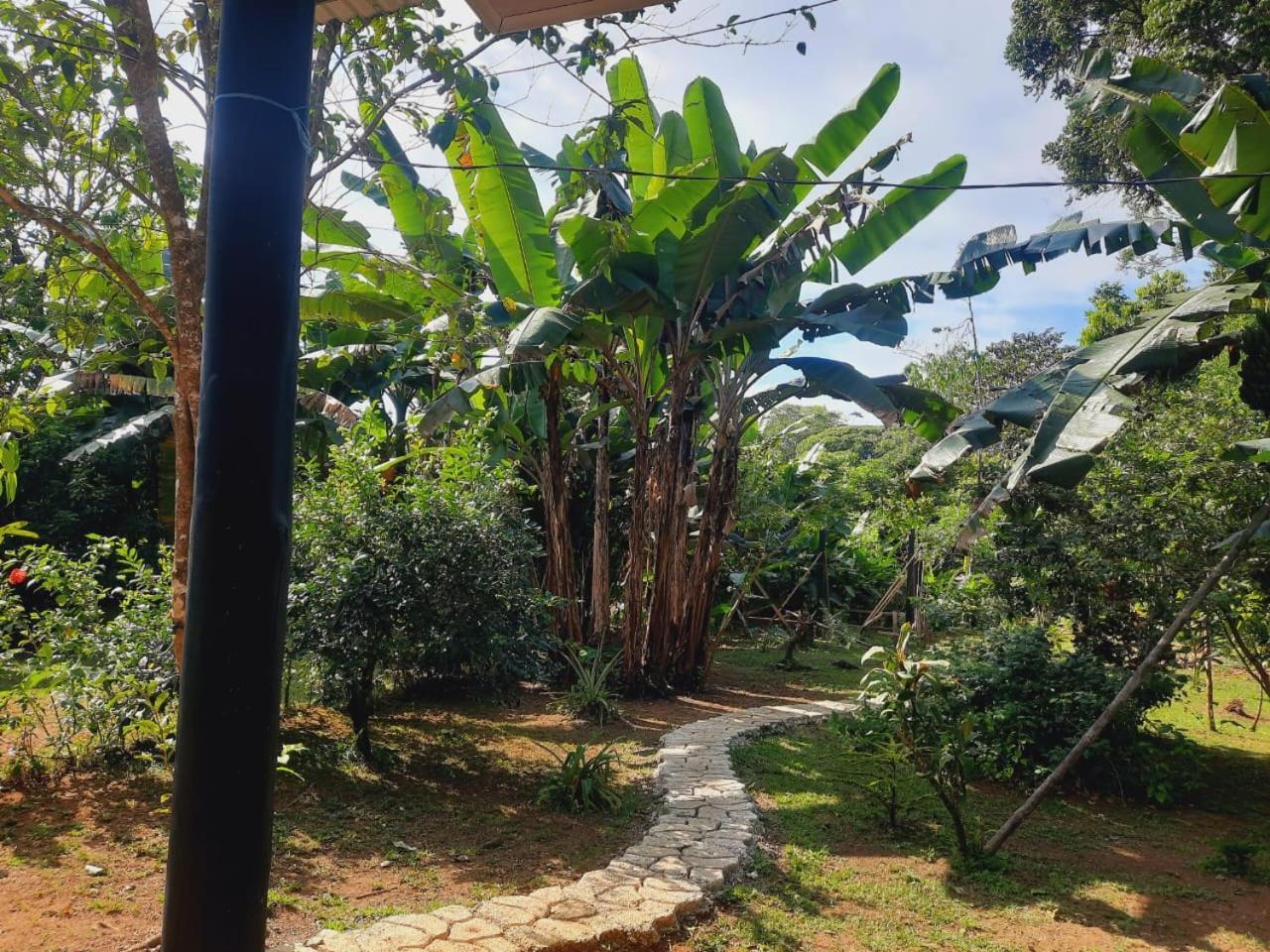 Cabinas Corcovado Green Parrot, Los Planes Drake Drakes Bay Exterior foto