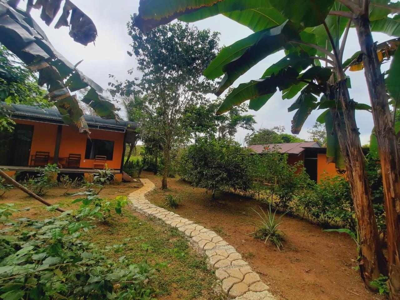 Cabinas Corcovado Green Parrot, Los Planes Drake Drakes Bay Exterior foto