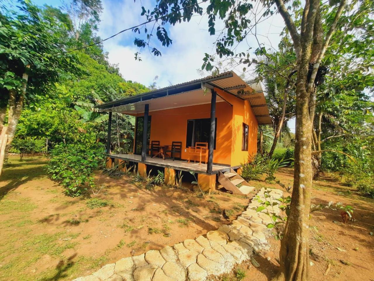 Cabinas Corcovado Green Parrot, Los Planes Drake Drakes Bay Exterior foto